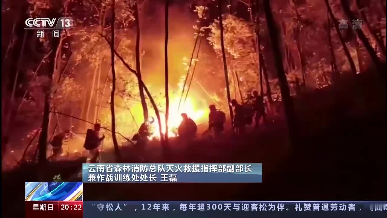 由重庆山火的扑救，想到如何将火焰检测器应用到森林防火